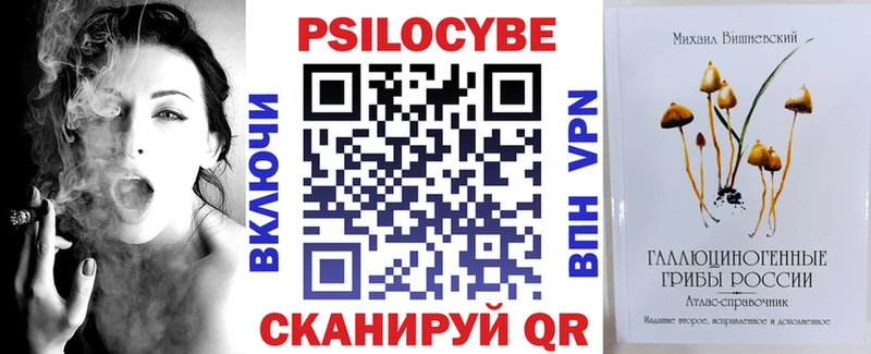 МЕГА ONION Сокол Галлюциногенные грибы Psilocybe