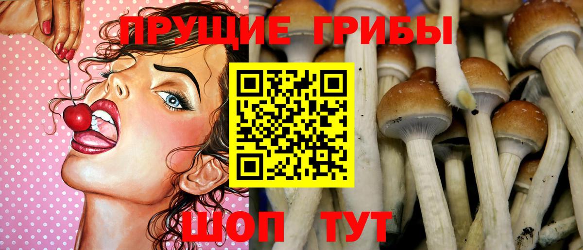Сокол  Псилоцибиновые грибы Magic Shrooms  Псилоцибиновые грибы Psilocybe  купить наркотики цена  Вход с VPN 